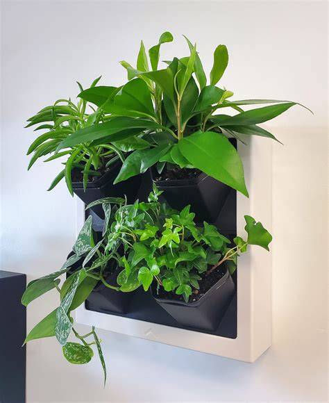 Self Watering Wall Planters Indoor - Etsy - raincitystudios.com