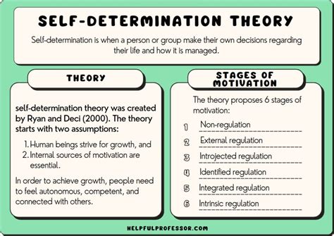 SELF-DETERMINATION THEORY EXPLAINED (MOTIVATION THEORY…