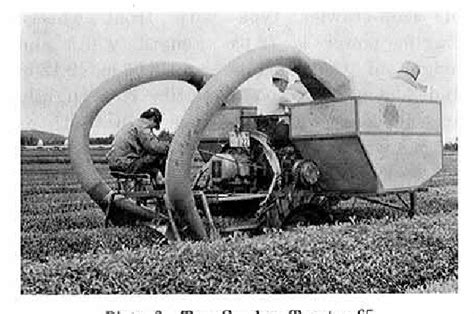 Self-Propelled Tea-Plucking Machines - JIRCAS - balustradellc