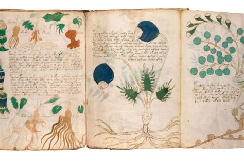 Selidik Voynich, Manuskrip Paling Misterius dalam Sejarah Dunia ... - wintechmobiles.com