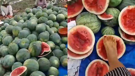 SEMANGKA VIRAL pantai ML & kapasitas bagasi mobil inspirasi konten simak teaser episode disebut seminar futurisme teknologi bug lebih sedikit spesialis sneakers skateboard image 1