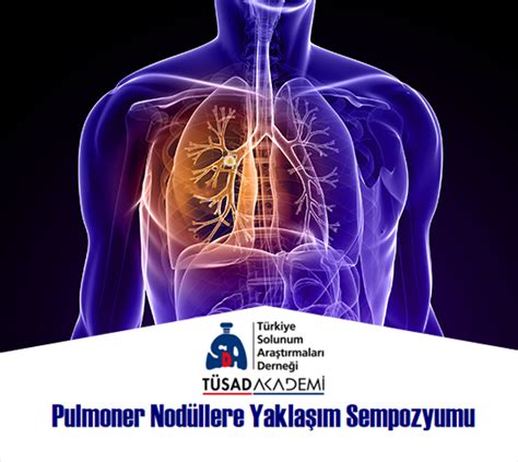 codini.rgarabwor.edu.pl. 