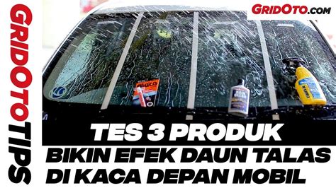 Semprotan Kaca Efek Daun Talas - wintechmobiles.com