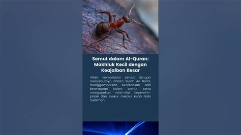 SEMUT DALAM AL-QUR’ - Walisongo Repository - muktibox.com