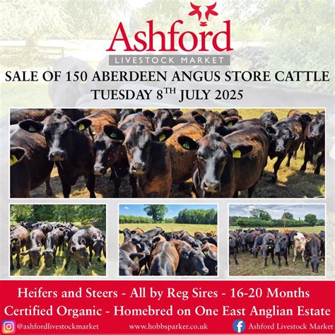 Send some stores to Ashford Livestock Market with us. 2 ... - balustradellc
