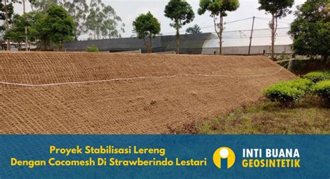 Sengketa Lahan PT Strawberindo Lestari: Penggugat Dinilai Bingung ... - balustradellc