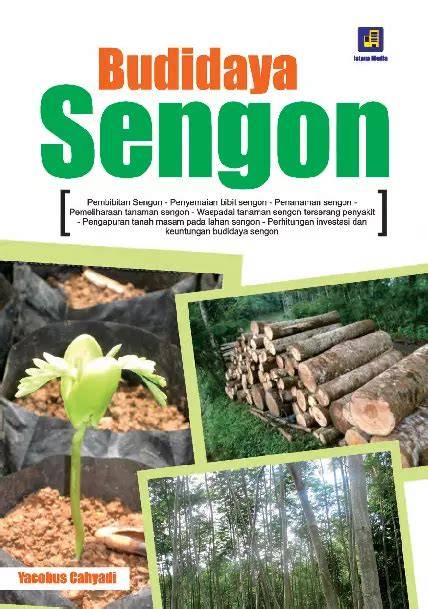 Sengon Budidaya - Kerjasama Investasi Sengon - raincitystudios.com