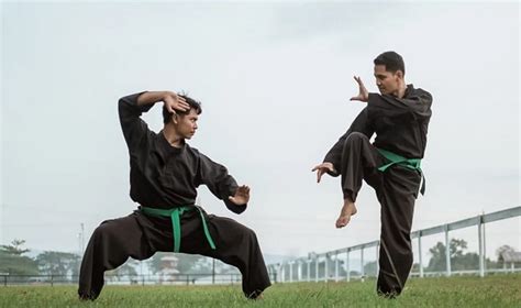 Seni Beladiri - artikel panduan dari wikiHow - balustradellc