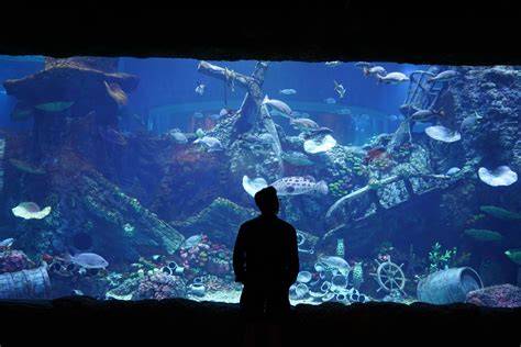 Sensasi Liburan ala Laut Mati di Sumatera Utara, Budget Tipis Rasa ... - raincitystudios.com