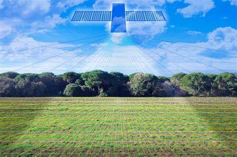 SenseForest pilot – Biodiversa + - raincitystudios.com
