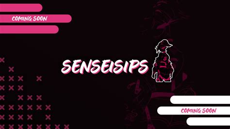 Sensei Sips - Martial Arts Can Holder - Etsy - balustradellc