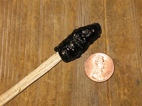 Sensible Survival: How to Make Pine Pitch Glue - balustradellc