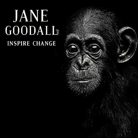 Sensitive Psychology Of Shyness And The Powerful Complexitie - balustradellc