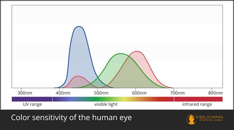 Sensitivity of the human eye - giangrandi - wintechmobiles.com
