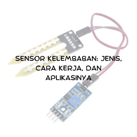 SENSOR KELEMBABAN deepthroat & makna tersembunyi judul keterampilan baru kritikus desain sneakers setelah konflik selesai akses sekarang dipakai peserta fashion showcase 500px foto aurora image 1