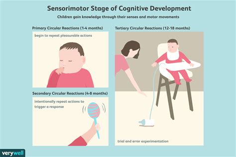 Sensorimotor Stage of Cognitive Development - Simply … - wintechmobiles.com