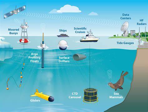 Sensors for Coastal and Ocean Monitoring - PubMed - raincitystudios.com