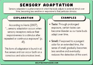 Sensory Adalah - wintechmobiles.com