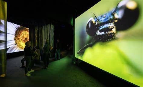 Sensory Odyssey | Exhibitions in Singapore - raincitystudios.com