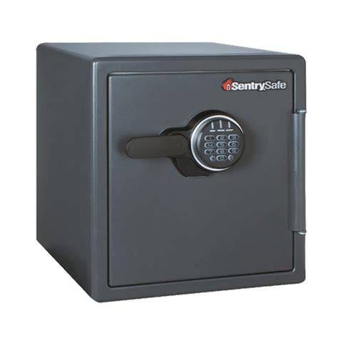 SentrySafe Black Fireproof Safe with Digital Push Button ... - Amazon - raincitystudios.com