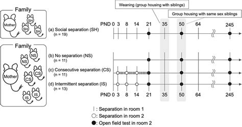 Separation and stress - Federal Circuit Court of Australia - balustradellc