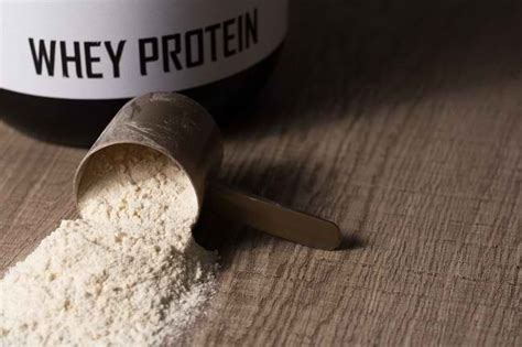 Seputar Whey Protein dan Manfaatnya bagi Kesehatan - balustradellc