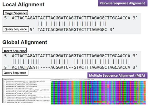Sequence Similarity Alignment Algorithm in Bioinformatics ... - Springer - coolestguyplanet.net