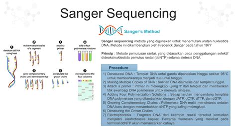 SEQUENCING : PRINSIP, FUNGSINYA - PT. Indolab … - muktibox.com