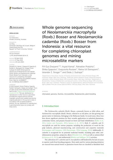 Sequencing of mitochondrial genome of Neolamarckia macrophylla … - raincitystudios.com