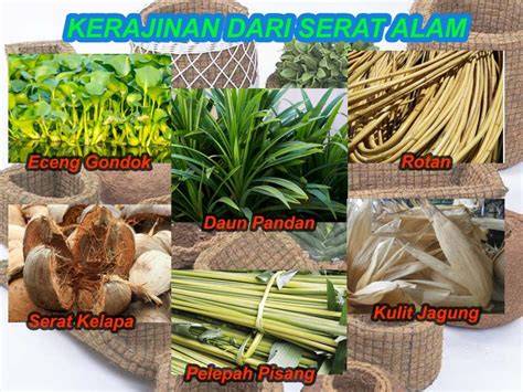 SERAT ALAM: POTENSI & PEMANFAATAN NYA - raincitystudios.com