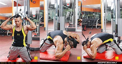 seratus/oblique exercise, latihan perut samping - balustradellc