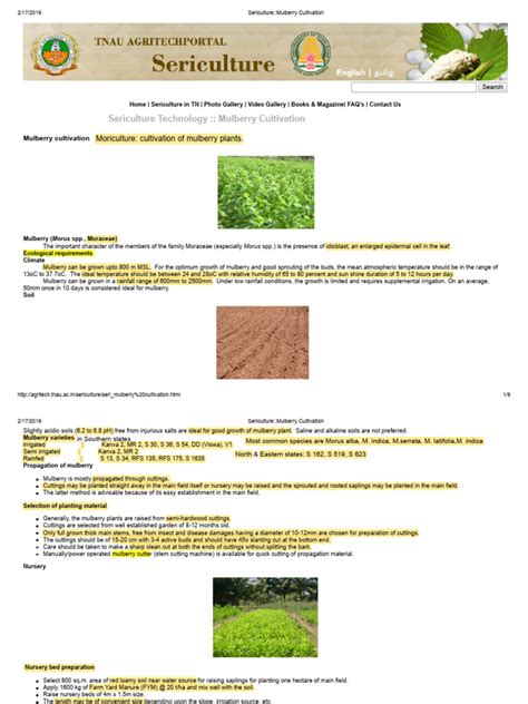 Sericulture::Mulberry Cultivation - raincitystudios.com