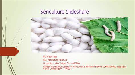 Sericulture and Silk Production | Springer Nature Link - raincitystudios.com