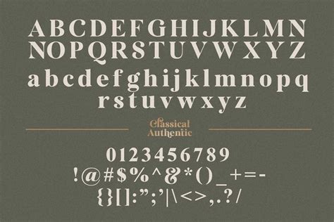 Serif Classical Fonts - FontSpace - muktibox.com