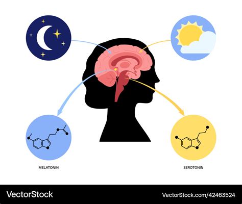 Serotonin for Sleep: Here's How to Get Better Sleep! - BrainMD - balustradellc