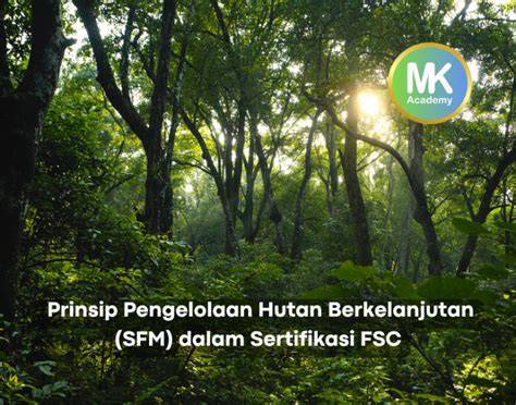 Sertifikasi Pengelolaan Hutan (FM-FSC) - Mutu Institute: Lembaga ... - raincitystudios.com