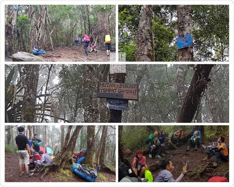 Serunya Rute Pendakian Gunung Latimojong - DAILY … - balustradellc