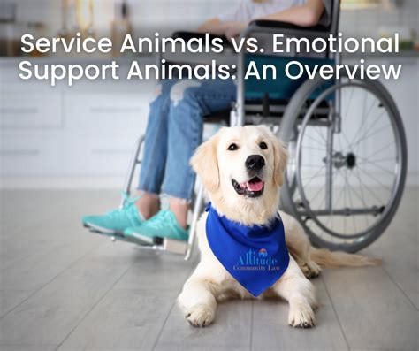 Service Animals and Emotional Support Animals | ADA … - balustradellc