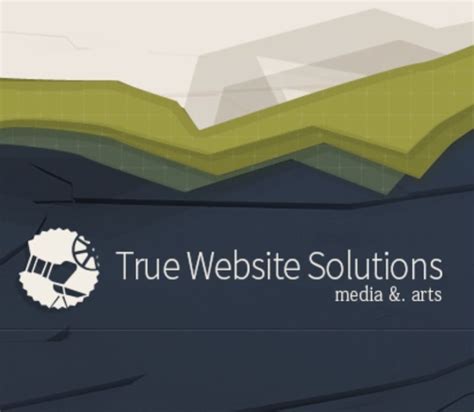 SERVICES True Website