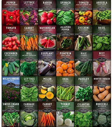 Set of 43 Assorted Vegetable & Herb Seed Packets - raincitystudios.com