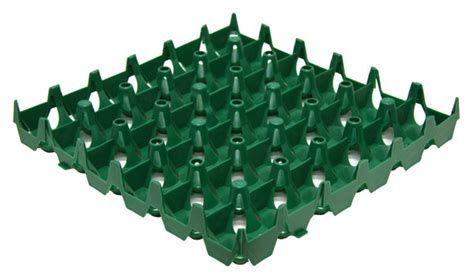 Set of 6 Plastic Egg Trays for Cabinet Incubator (XL) - balustradellc