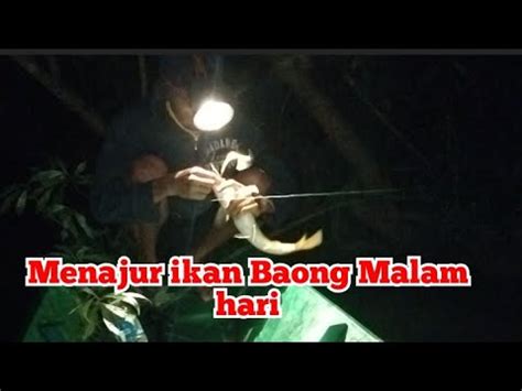 Set Up Fishing Vantablack X Dialo DC di Malam Hari - balustradellc