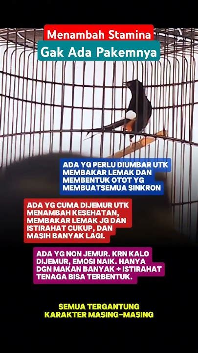 Setiap burung itu berbeda - beda dalam perawatan nya sehingga ... - balustradellc