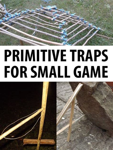 Setting Up A Primitive Trap For Small Game - Trail … - balustradellc