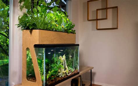 Setting Up an Aquaponic System Indoors - Dave's Garden - balustradellc