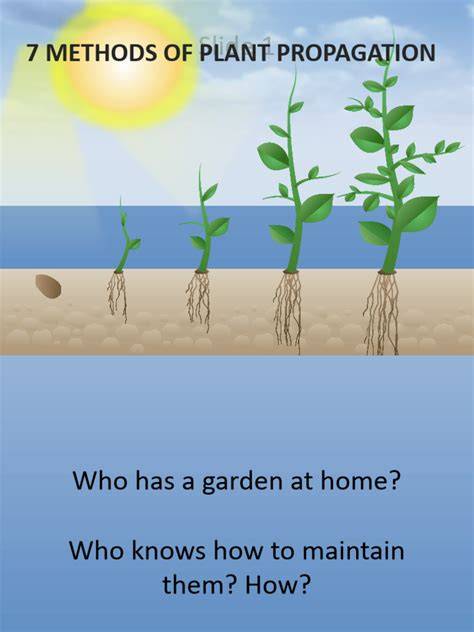 Seven Methods of Plant Propagation - Plant Cell … - raincitystudios.com