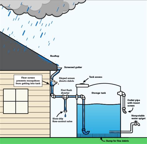 Seven Techniques for Capturing Rainwater on Your Property - balustradellc