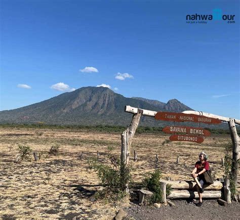 Sewa Elf ke Taman Nasional Baluran | Translia Transport - balustradellc