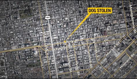 SFPD: Dog stolen from owner after Tenderloin robbery
