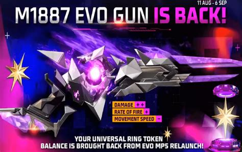 codini.rgarabwor.edu.pl. 